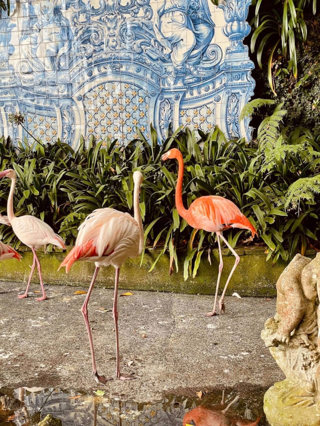 Original photo — MADEIRA